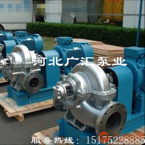 白山250S 39雙吸泵中開式全方位質檢流程，助力水務環保行業高效運行